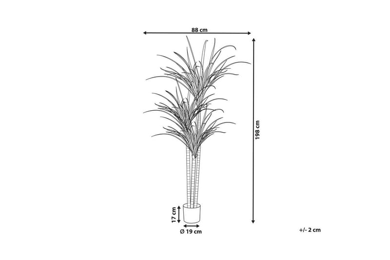 Konstgjord växt Dracaena Anita - Utemöbler - Balkong - Balkongodling - Balkongblommor