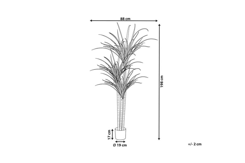 Konstgjord växt Dracaena Anita - Utemöbler - Balkong - Balkongodling - Balkongblommor