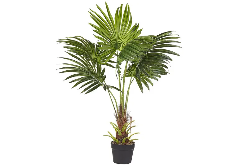 Konstgjord växt Fan Palm, undefined
