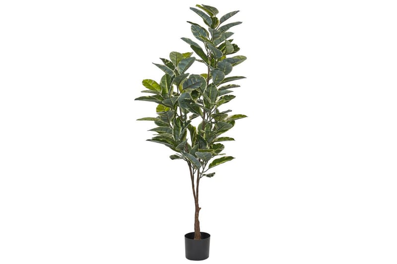 Konstgjord växt Ficus Elastica, undefined