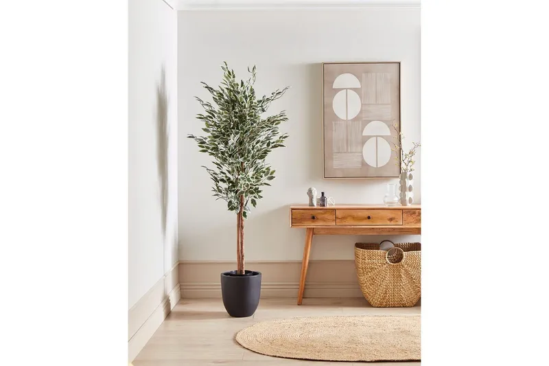 Konstgjord växt Ficus - Utemöbler - Balkong - Balkongodling - Balkongblommor