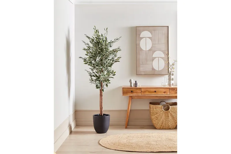 Konstgjord växt Ficus - Utemöbler - Balkong - Balkongodling - Balkongblommor