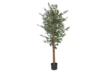 Konstgjord växt Ficus - Inredning - Konstgjorda växter & plastväxter