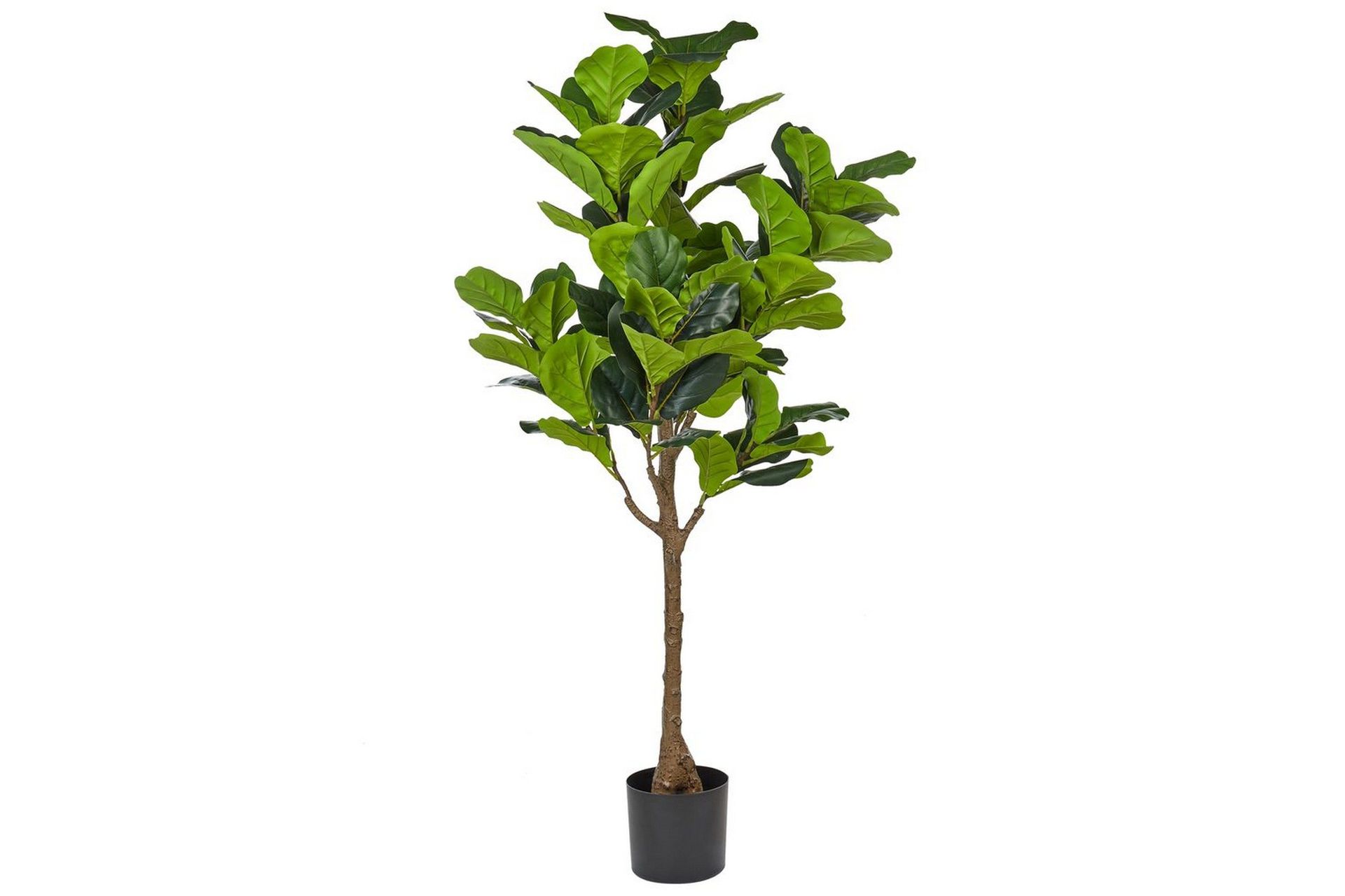 Konstgjord växt Fig Tree - Inredning - Trademax