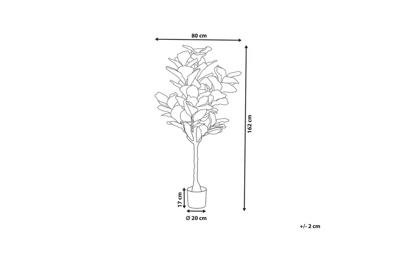 Konstgjord växt Fig Tree - Utemöbler - Balkong - Balkongodling - Balkongblommor