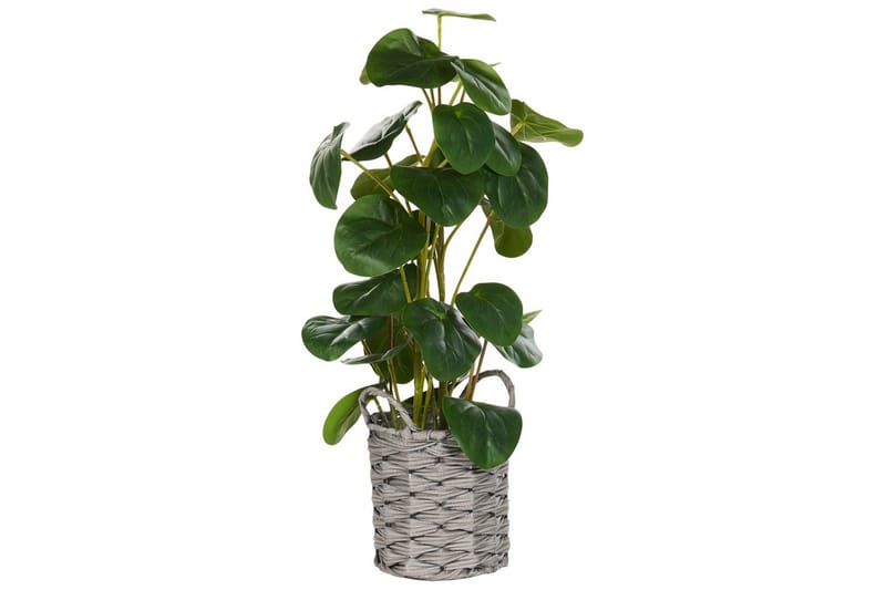 Konstgjord växt Kibeti - Utemöbler - Balkong - Balkongodling - Balkongblommor