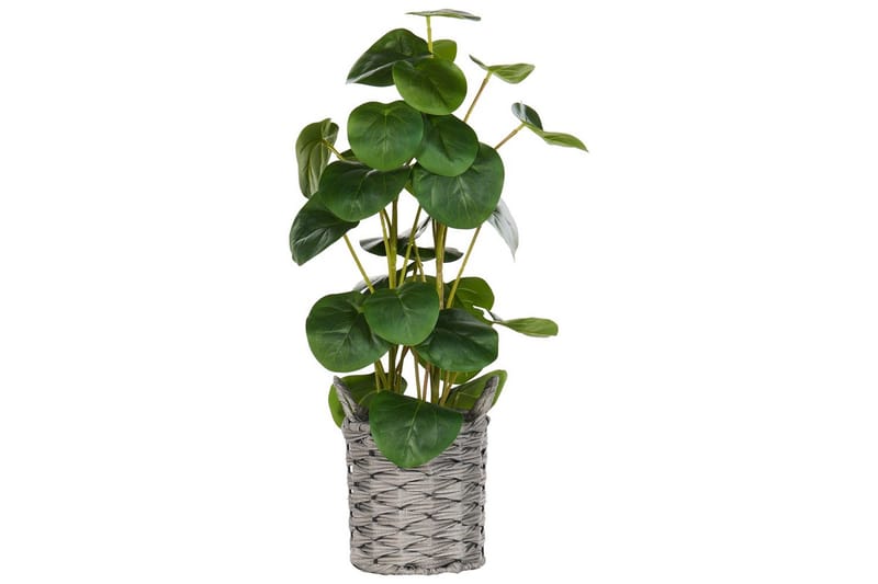 Konstgjord växt Kibeti - Utemöbler - Balkong - Balkongodling - Balkongblommor
