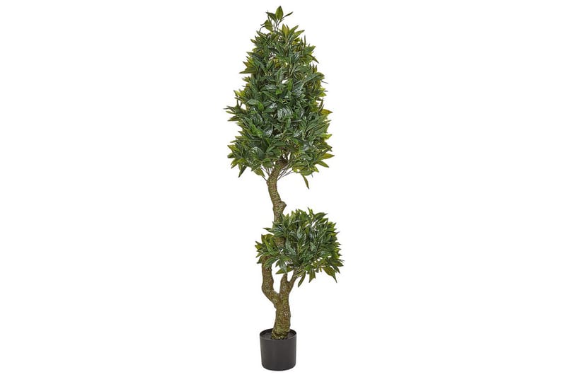 Konstgjord växt Laurele - Utemöbler - Balkong - Balkongodling - Balkongblommor