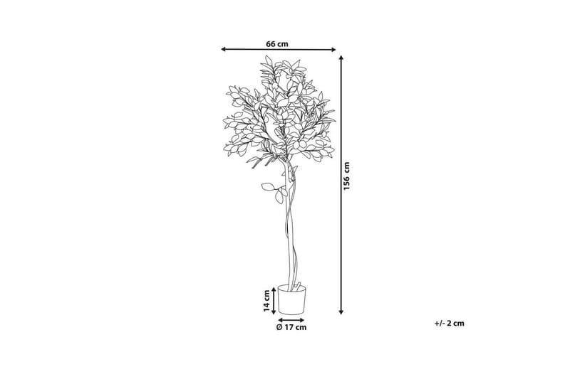 Konstgjord växt Lemon Tree 66x66x156 cm - 66x66x156 cm - Utemöbler - Balkong - Balkongodling - Balkongblommor