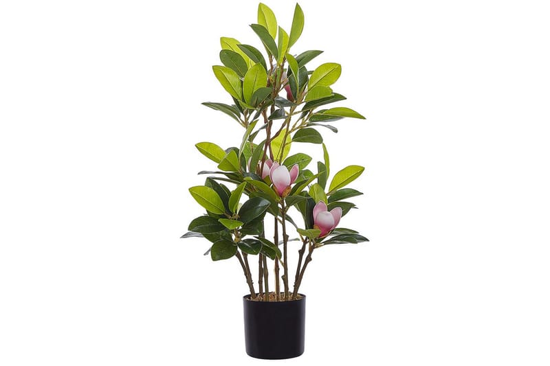 Konstgjord växt Magnolia - Utemöbler - Balkong - Balkongodling - Balkongblommor