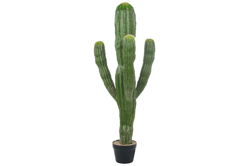 Konstgjord växt Marocco Cereus, undefined