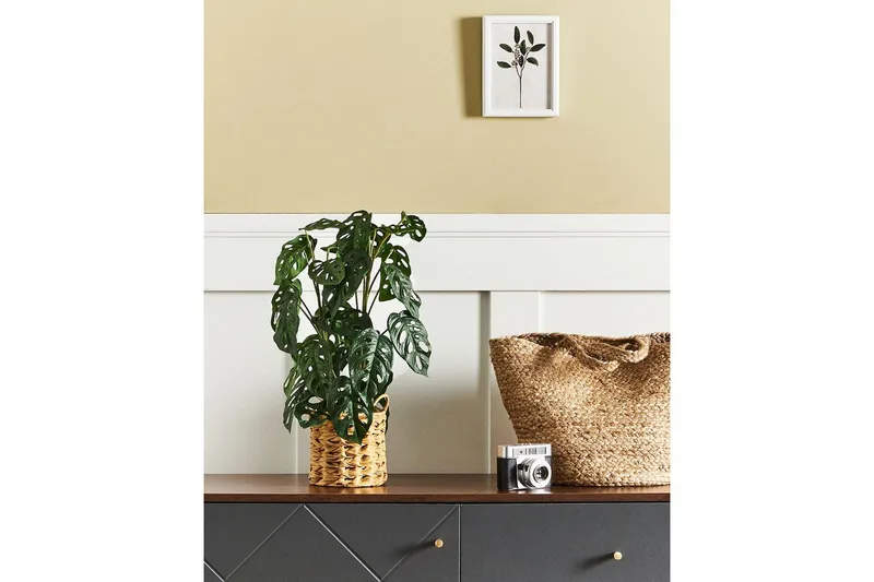 Konstgjord växt Monstera Adansonii - Utemöbler - Balkong - Balkongodling - Balkongblommor