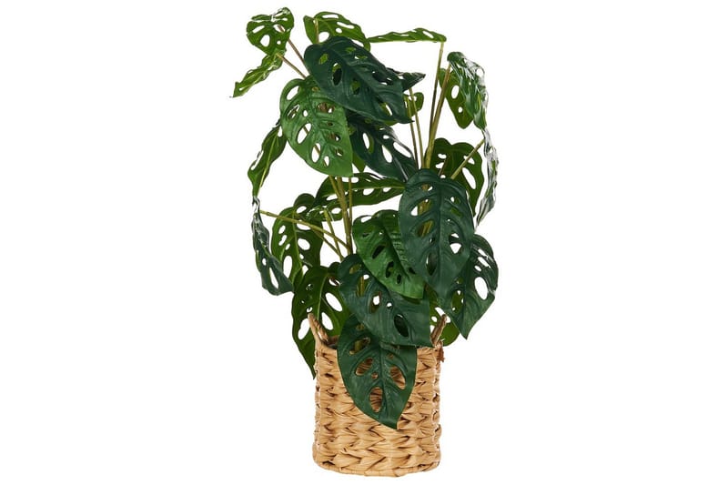 Konstgjord växt Monstera Adansonii - Utemöbler - Balkong - Balkongodling - Balkongblommor