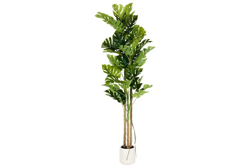 Konstgjord växt Monstera Plant 71x71x221 cm, 71x71x221 cm