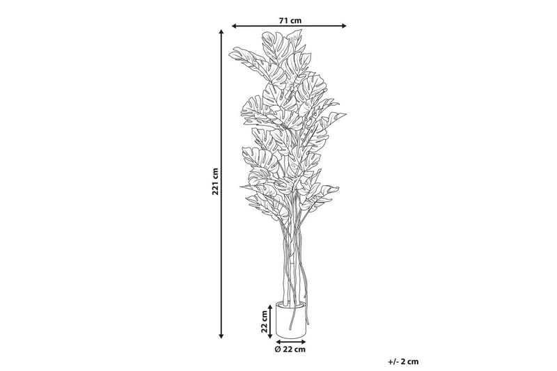 Konstgjord växt Monstera Plant 71x71x221 cm - 71x71x221 cm - Utemöbler - Balkong - Balkongodling - Balkongblommor