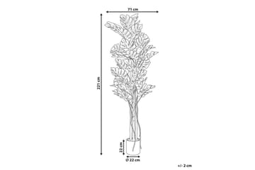 Konstgjord växt Monstera Plant 71x71x221 cm - 71x71x221 cm - Inredning - Konstgjorda växter & plastväxter