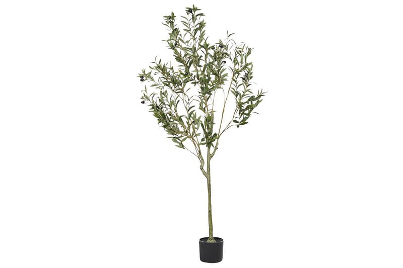 Konstgjord växt Olive Tree 63x63x153 cm - 63x63x153 cm - Utemöbler - Balkong - Balkongodling - Balkongblommor