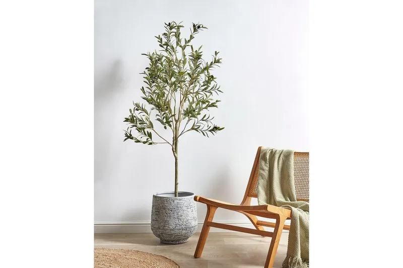 Konstgjord växt Olive Tree 63x63x153 cm - 63x63x153 cm - Utemöbler - Balkong - Balkongodling - Balkongblommor