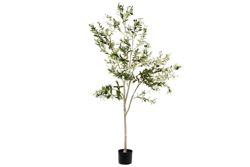 Konstgjord växt Olive Tree 75x75x178 cm - 75x75x178 cm - Utemöbler - Balkong - Balkongodling - Balkongblommor