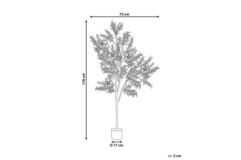 Konstgjord växt Olive Tree 75x75x178 cm - 75x75x178 cm - Utemöbler - Balkong - Balkongodling - Balkongblommor