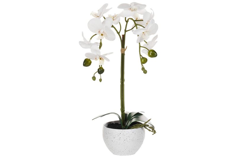 Konstgjord växt Orchid 16x10x42 cm - 16x10x42 cm - Utemöbler - Balkong - Balkongodling - Balkongblommor