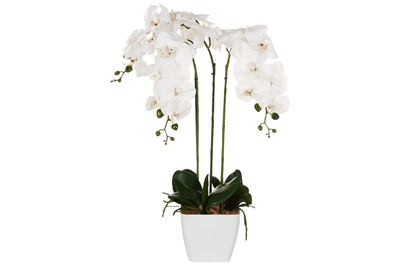 Konstgjord växt Orchid 22x22x59 cm - 22x22x59 cm - Utemöbler - Balkong - Balkongodling - Balkongblommor
