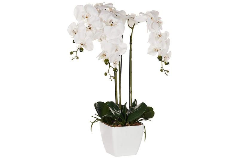 Konstgjord växt Orchid 22x22x59 cm - 22x22x59 cm - Utemöbler - Balkong - Balkongodling - Balkongblommor