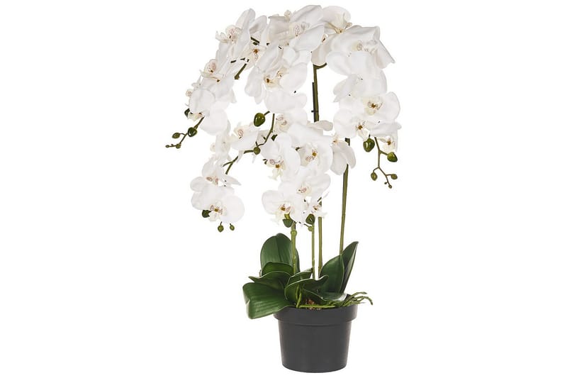 Konstgjord växt Orchid 28x28x63 cm, 28x28x63 cm