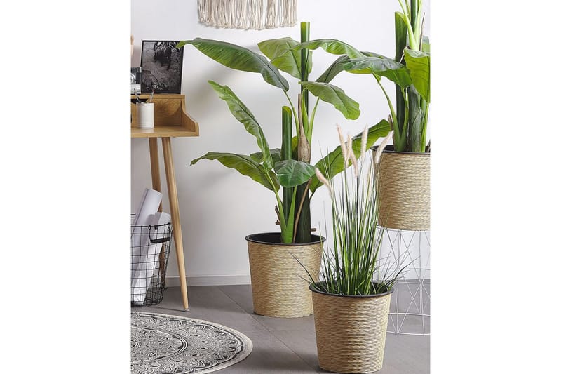 Konstgjord växt Reed Plant - Utemöbler - Balkong - Balkongodling - Balkongblommor