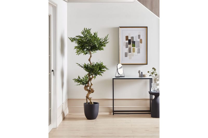 Konstgjord växt Ruscus Tree - Utemöbler - Balkong - Balkongodling - Balkongblommor
