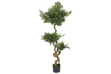 Konstgjord växt Ruscus Tree - Inredning - Konstgjorda växter & plastväxter