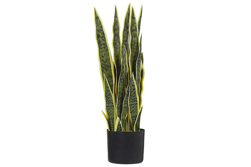 Konstgjord växt Snake Plant 15x15x63 cm - 15x15x63 cm - Utemöbler - Balkong - Balkongodling - Balkongblommor
