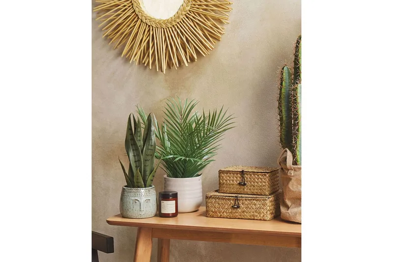 Konstgjord växt Snake Plant 10x10x40 cm - 10x10x40 cm - Utemöbler - Balkong - Balkongodling - Balkongblommor