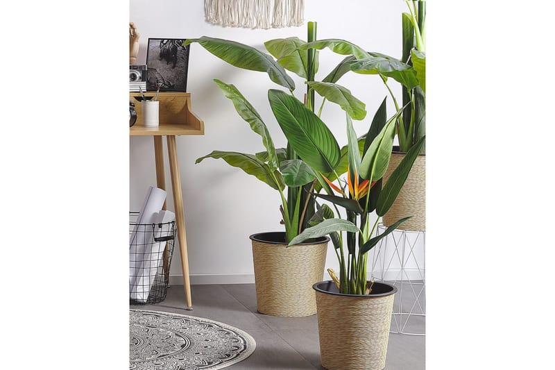 Konstgjord växt Strelitzia Tree - Utemöbler - Balkong - Balkongodling - Balkongblommor