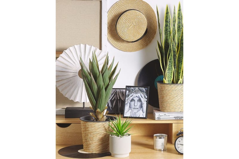 Konstgjord växt Yucca 13x13x52 cm - 13x13x52 cm - Utemöbler - Balkong - Balkongodling - Balkongblommor
