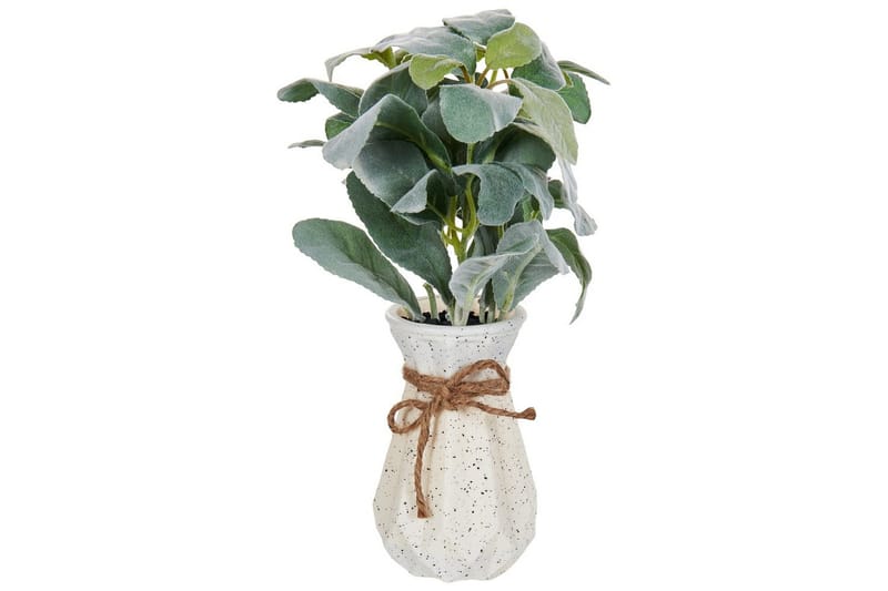 Konstgjord växt Peperomia Argyreia, undefined