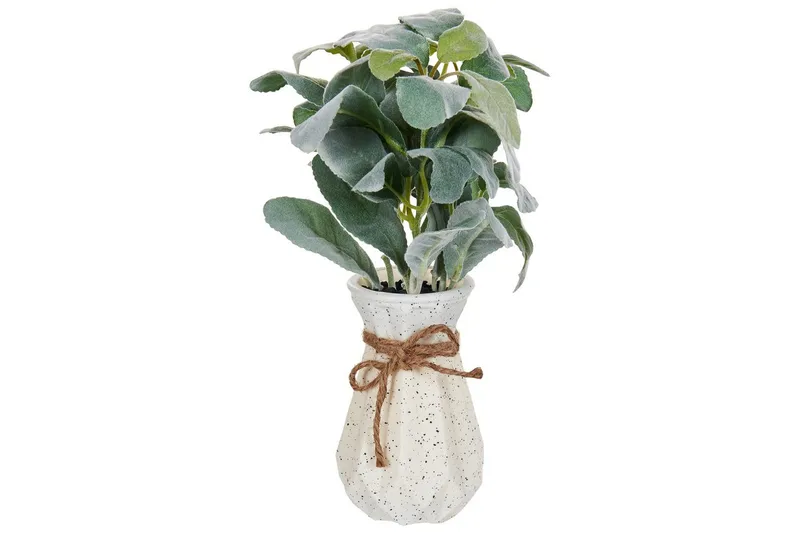 Konstgjord växt Peperomia Argyreia, undefined