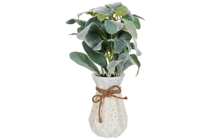 Konstgjord växt Peperomia Argyreia - Utemöbler - Balkong - Balkongodling - Balkongblommor