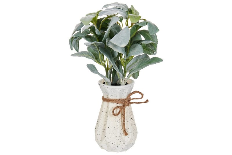 Konstgjord växt Peperomia Argyreia - Utemöbler - Balkong - Balkongodling - Balkongblommor