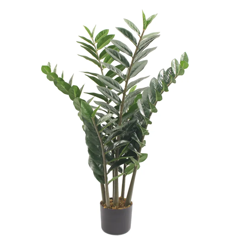 Konstväxt zansibar/garderobsblomma | 90 cm, undefined