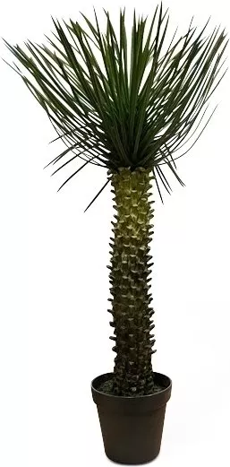 Palm konstväxt höjd 112 cm, undefined