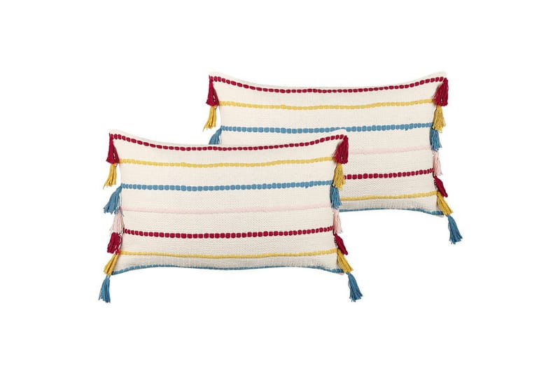 Prydnadskuddar Agave set om 2, undefined