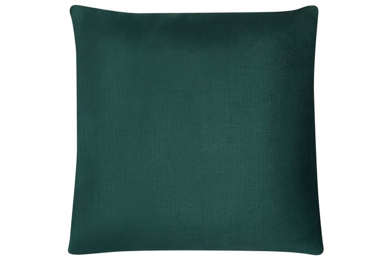 Prydnadskuddar Ceropegia set om 2 Grön - Grön - Textil & mattor - Filtar, kuddar & plädar - Utekudde