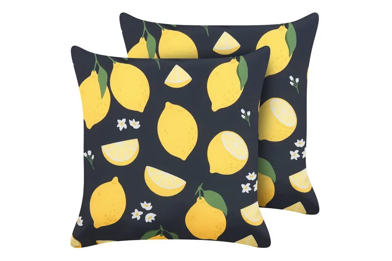 Prydnadskuddar Citrus set om 2, undefined