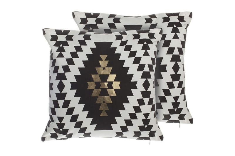 Prydnadskuddar Coleus set om 2, undefined