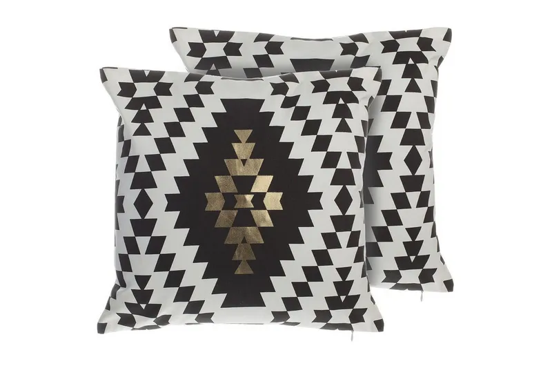 Prydnadskuddar Coleus set om 2, undefined