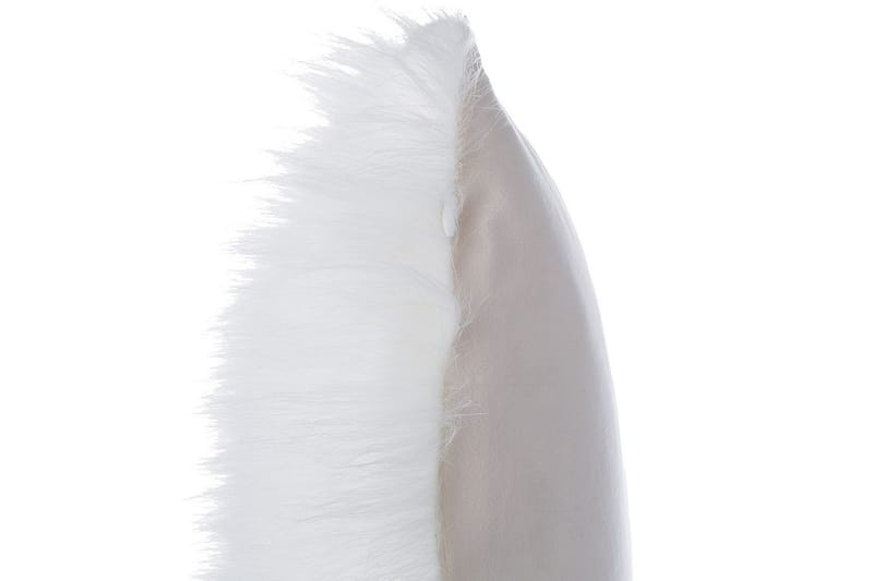 Prydnadskuddar Daisy set om 2 Beige - Beige - Utemöbler - Dynor - Övriga dynor