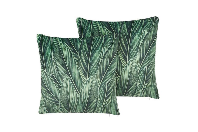 Prydnadskuddar Diascia set om 2, undefined