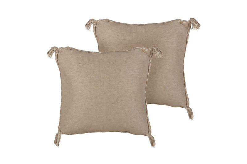 Prydnadskuddar Erigeron set om 2, undefined