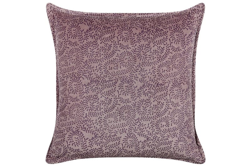 Prydnadskuddar Kalmia, undefined